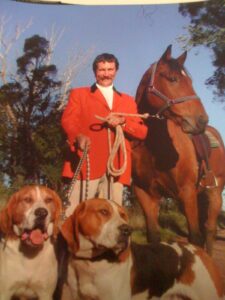 Waler gelding Rhythm