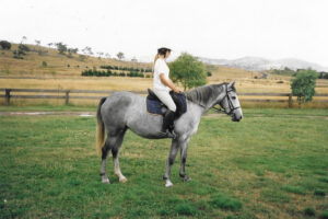 Waler mare Beersheba