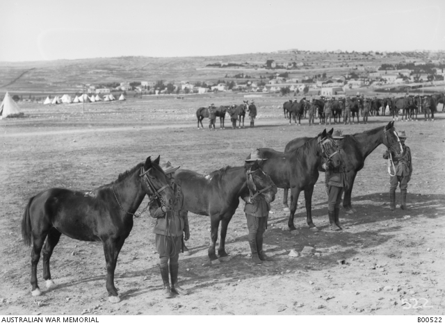 WW1 Horse names, four horses
