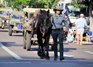 Waler stallion Noble Comrade in parade