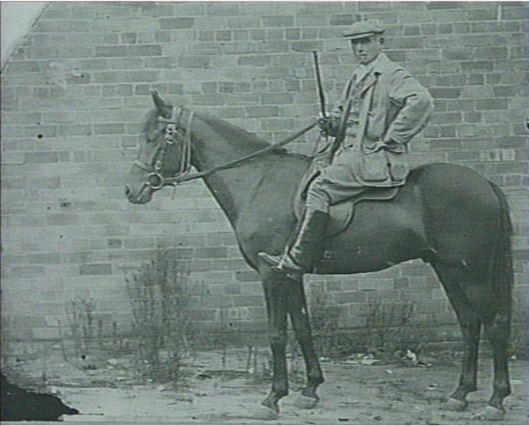 Mounted polo rider