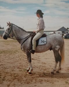 Jinka Station gelding Sergeant Major