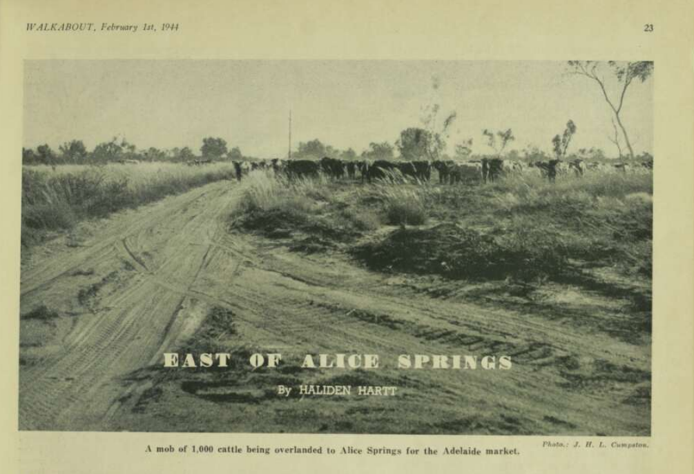 East of Alice Springs