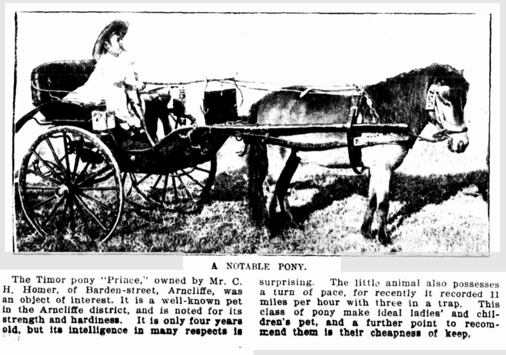 Article from Sydney Mail & NSW Advertiser, 2nd May, 1906.