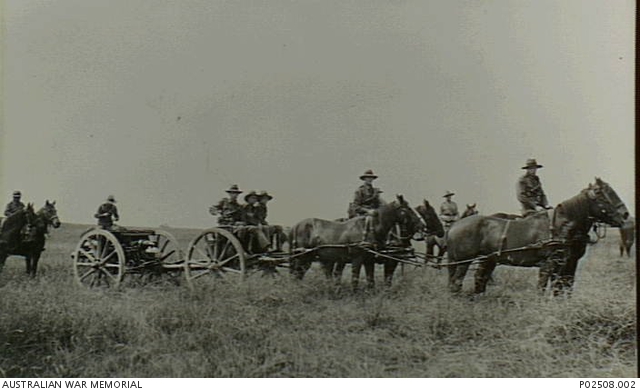 Artillery horses