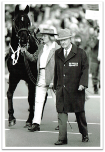 Waler stallion Dardanelle in Hobart march with old Light Horseman