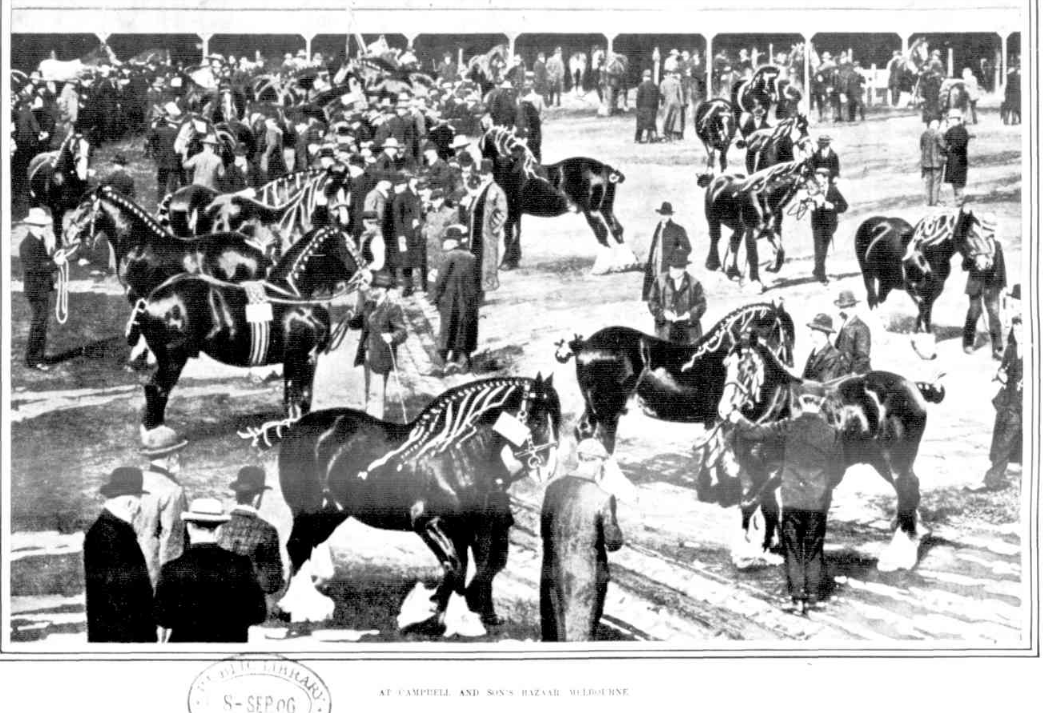 Horse Bazaars