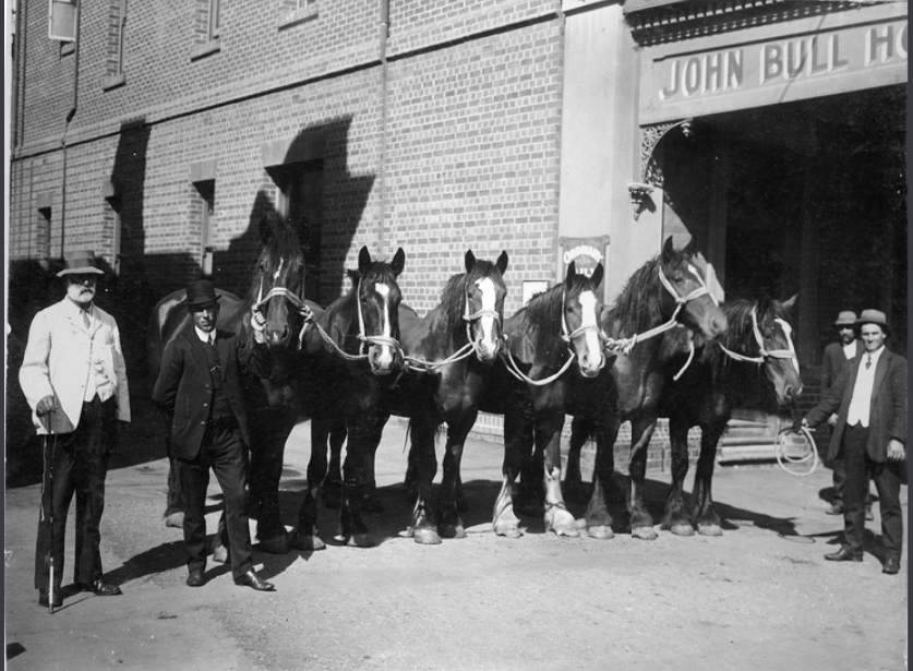 A team of six horses in the yard of John Bull Hotel Adelaide