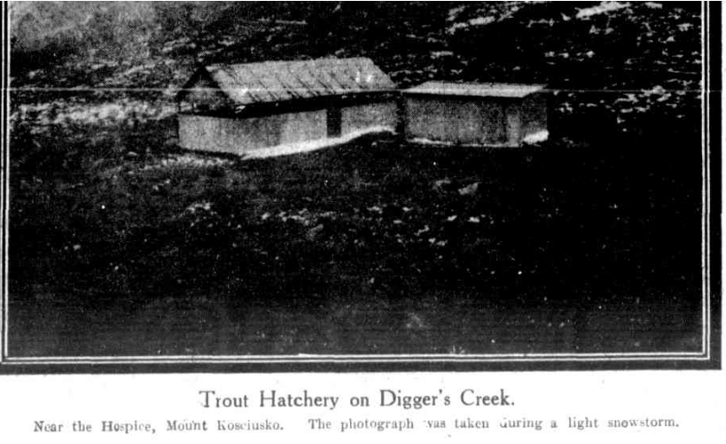 Trout Hatchery on Digger's Creek