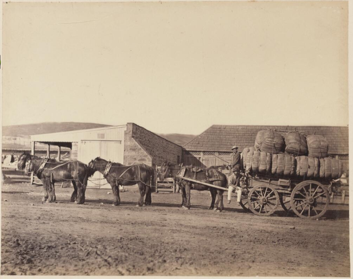 Wool Wagon on Canowie Station SA