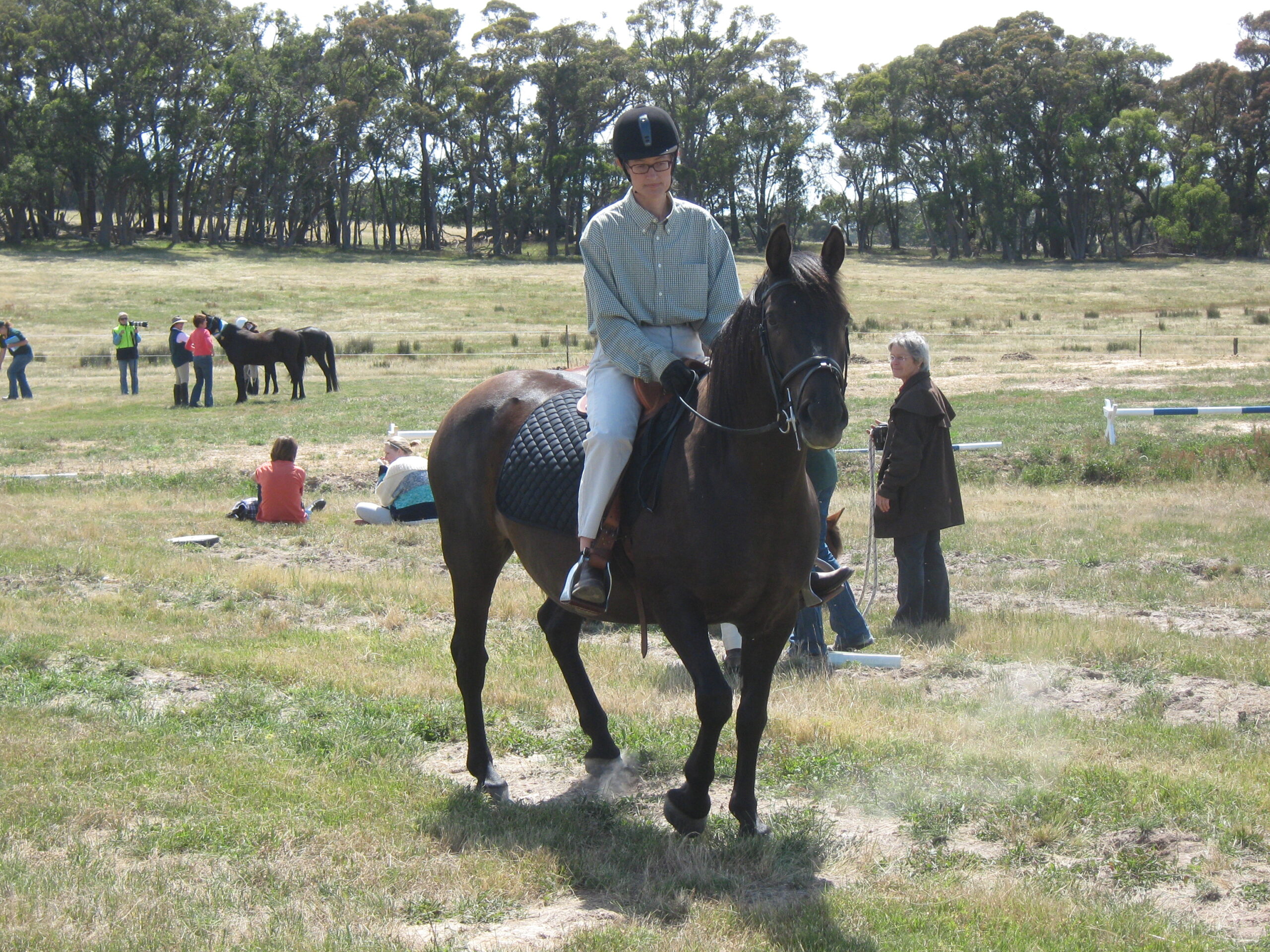 Brumby Show Fisher Ridden