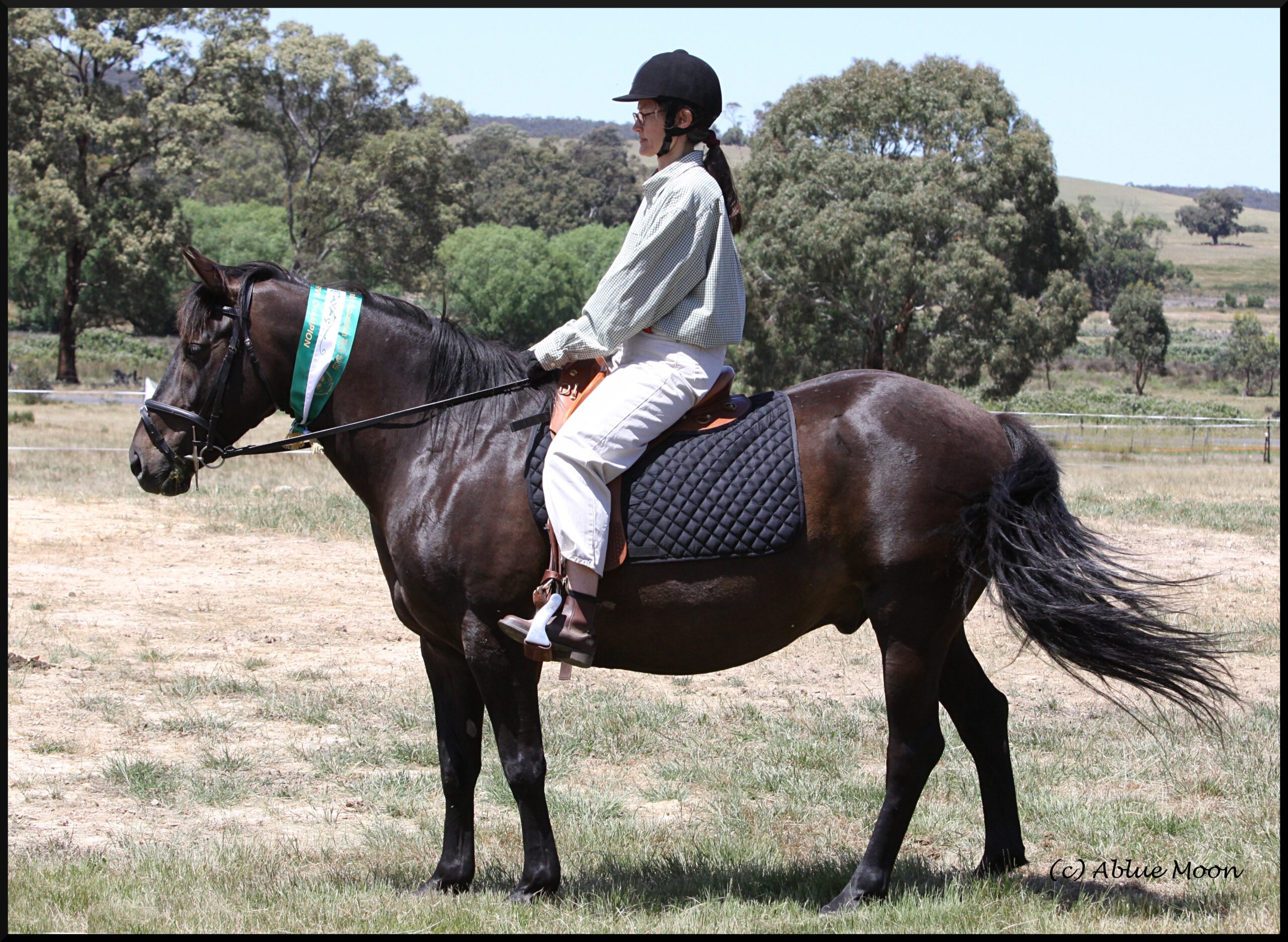 Inaugural Victorian Brumby Show