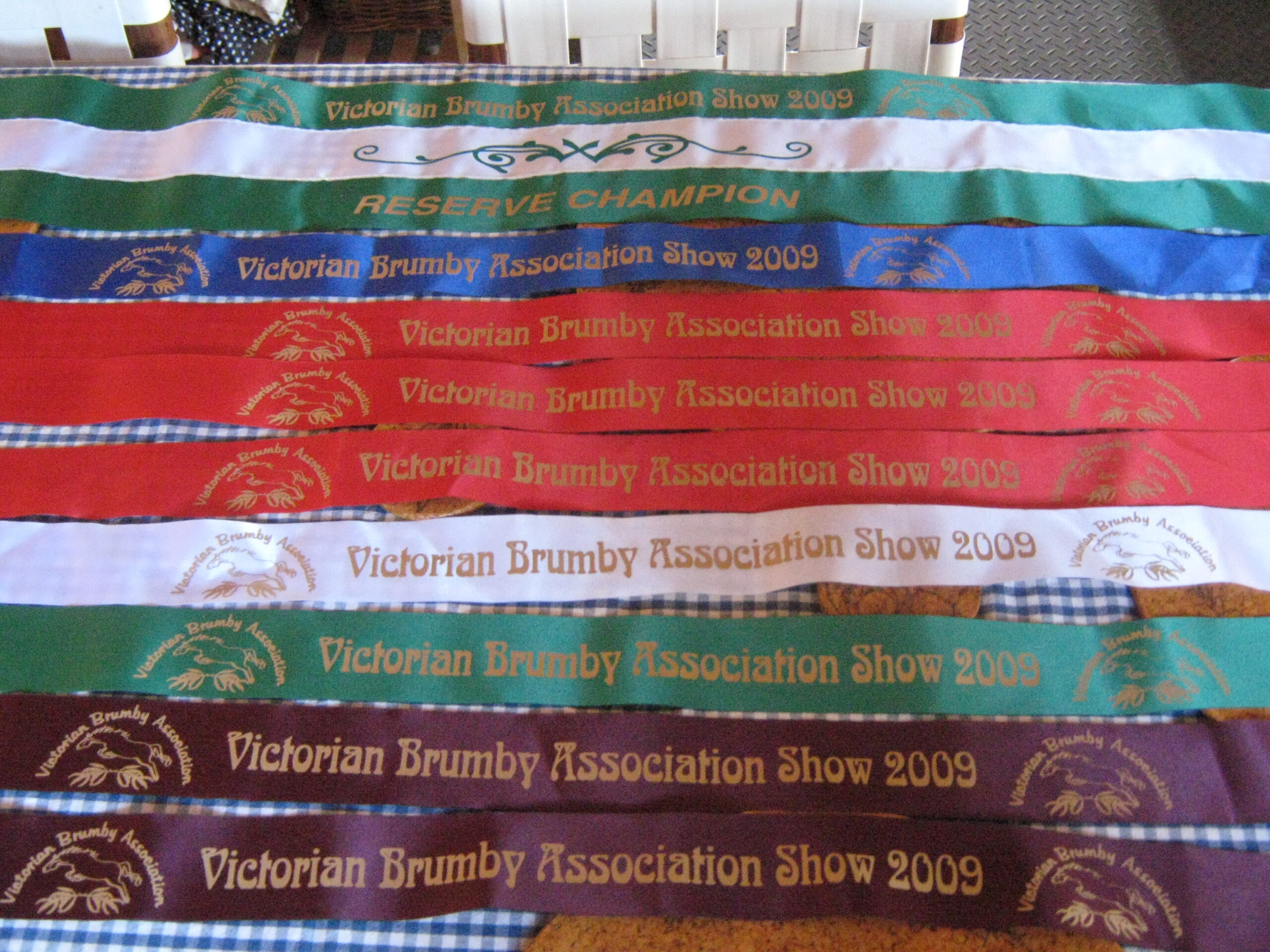 Brumby Show 2009 ribbons