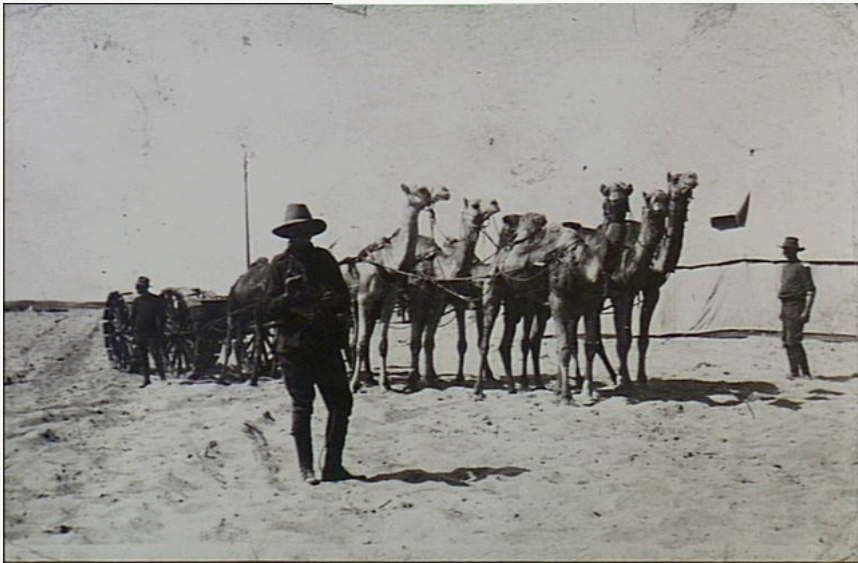 Camel Corps with artillery piece