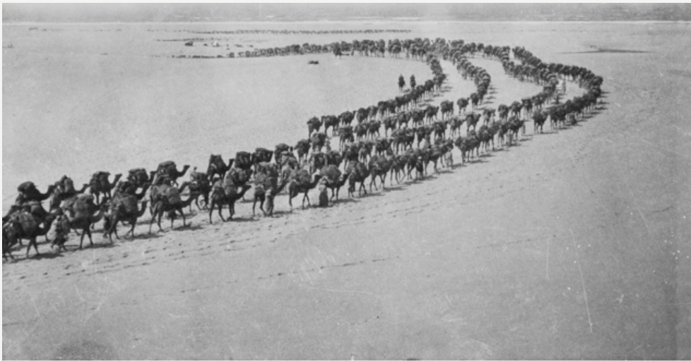 Camel Transport 1917