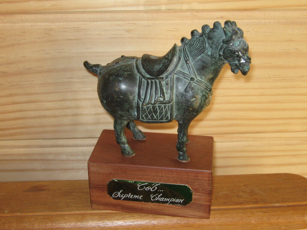 Trophy for Champion Cob won by Fisher at Lancefield Show