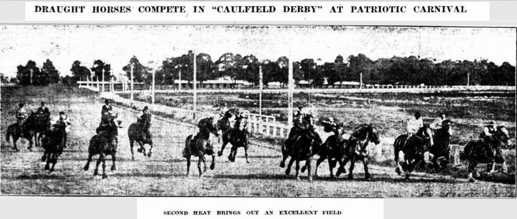 Caulfield Draught Horse Derby