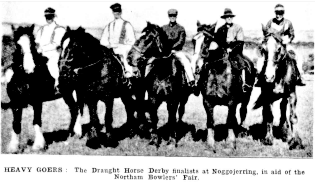 Draught Horse Derby Finalists