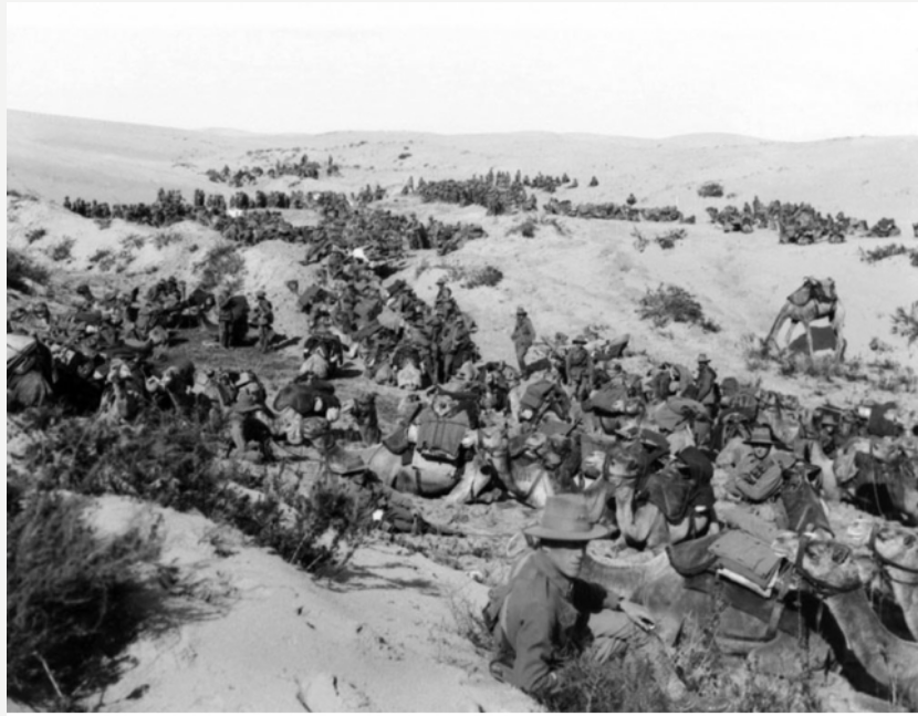 Camel Corps resting