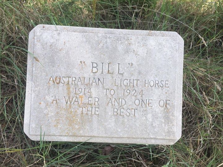 Light Horse Park memorial to Bill, Seymour Victoria Australia