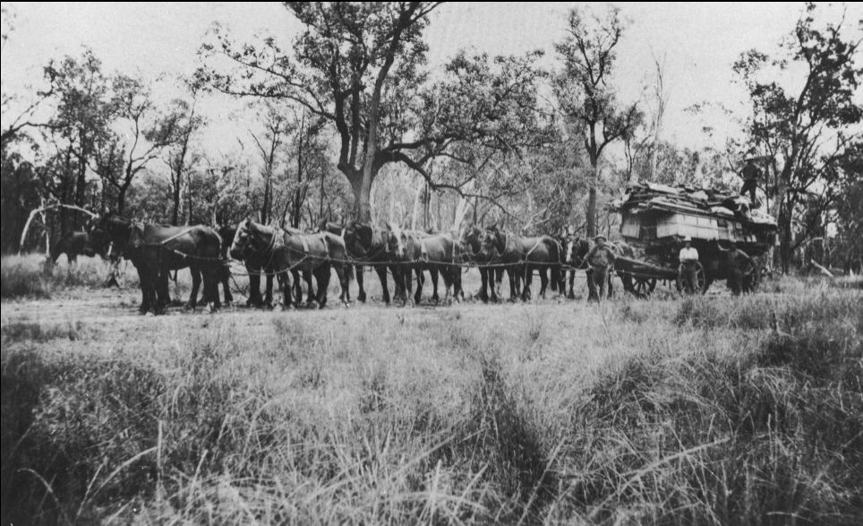 Joseph Atkinson's buck jumping side show team in transit. State Library Qld
