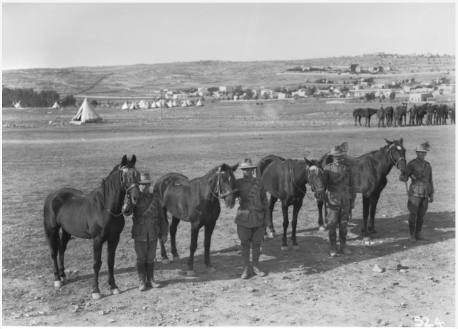Group of Four Original Horses, AWM