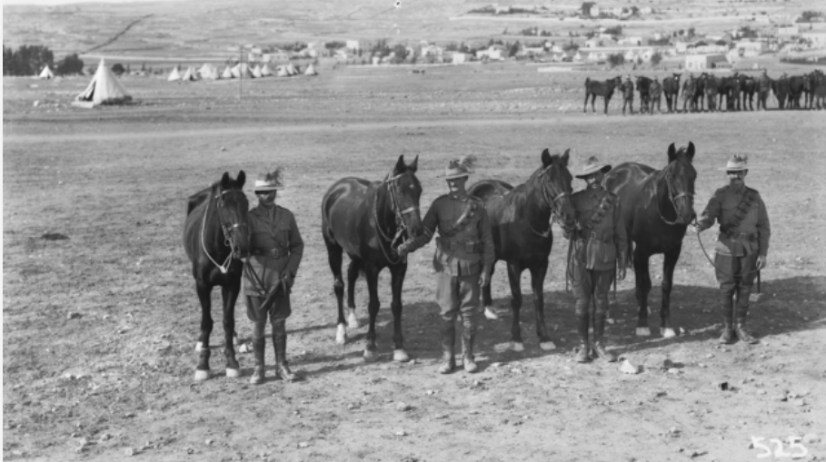 Group of Four Unnamed Original Horses. AWM