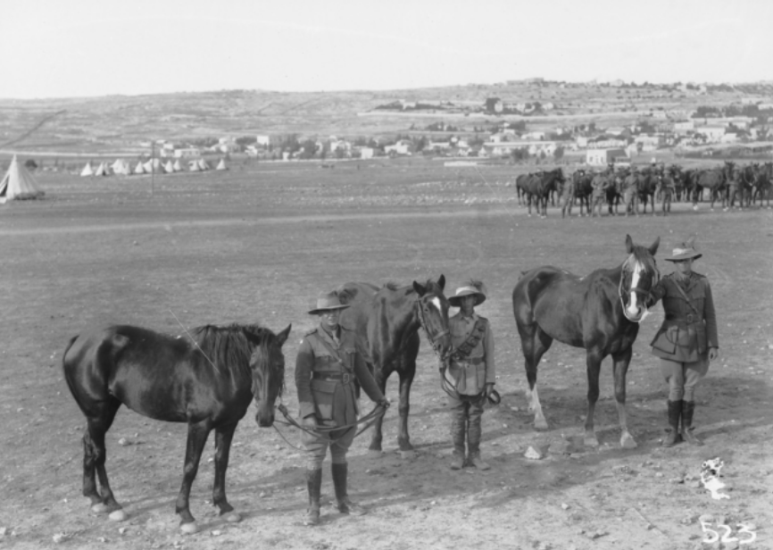 Group of Three Original Horses, AWM