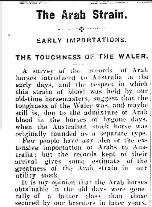 Sydney Stock and Station Journal, Tuesday 26 September 1916. This article has an alphabetical list of many of the Arabs that went into Volume 1 of the ASB
