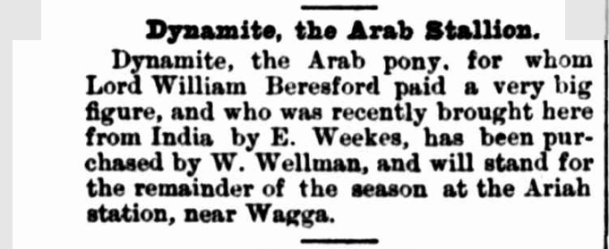 Referee, Sydney, Thursday 28 April 1887. Teddy Weekes was a big horse exporter of Walers, and usually bought back an Arab or two to sell here, every trip. This is the stallion that ended up living on Pulletop station