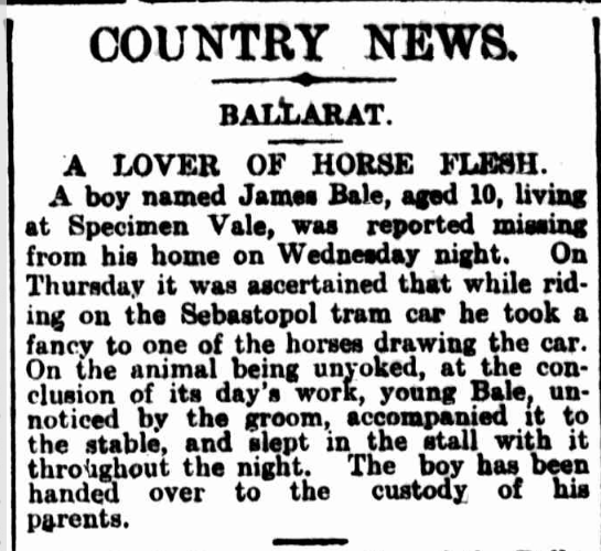 Newspaper article about a boy who took a fancy to a tram horse in Ballarat