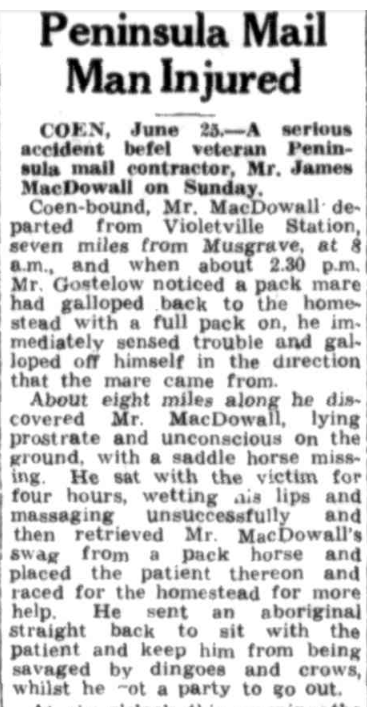 Newspaper article about Jim MacDowall being injured in a fall from his horse