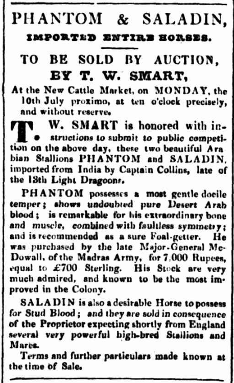 Stallion Advertisement from 1837