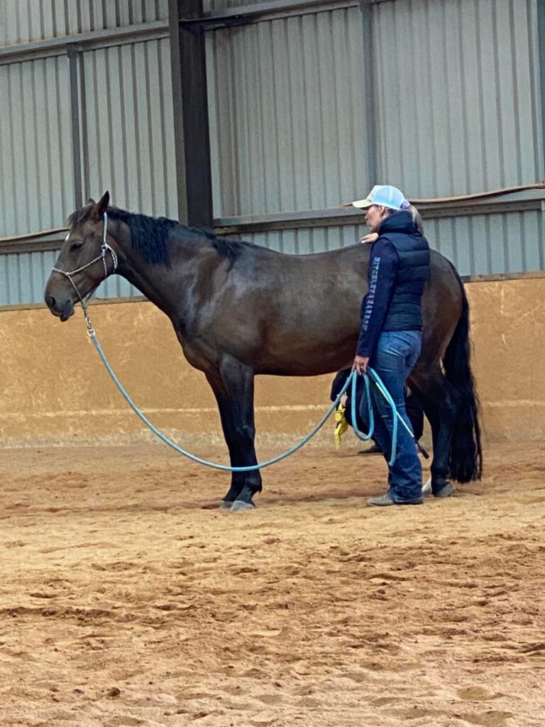 Mare Piperita and her owner Cate at a training clinic