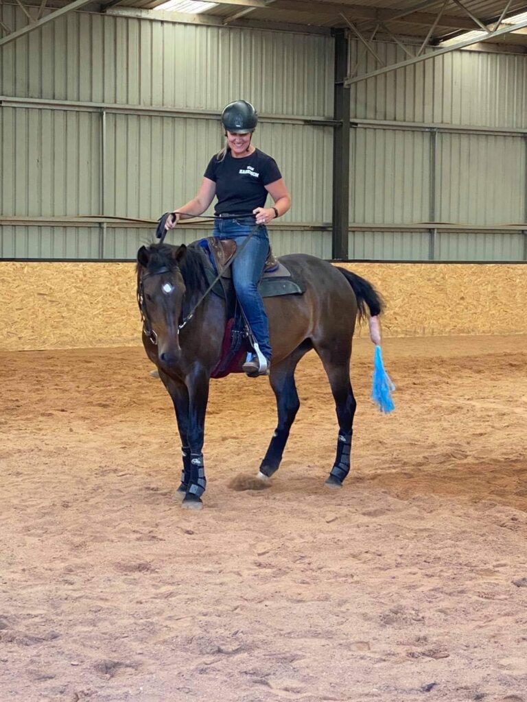 Waler mare Piperita training in an indoor arena with owner and rider Cate