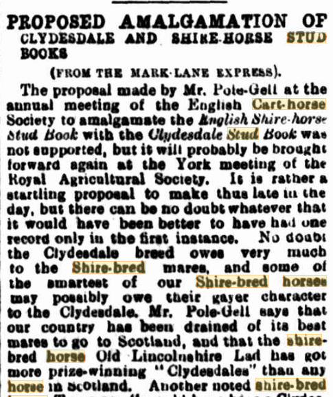 Article about a proposed amalgamation of Clydesdale and Shire horse stud books