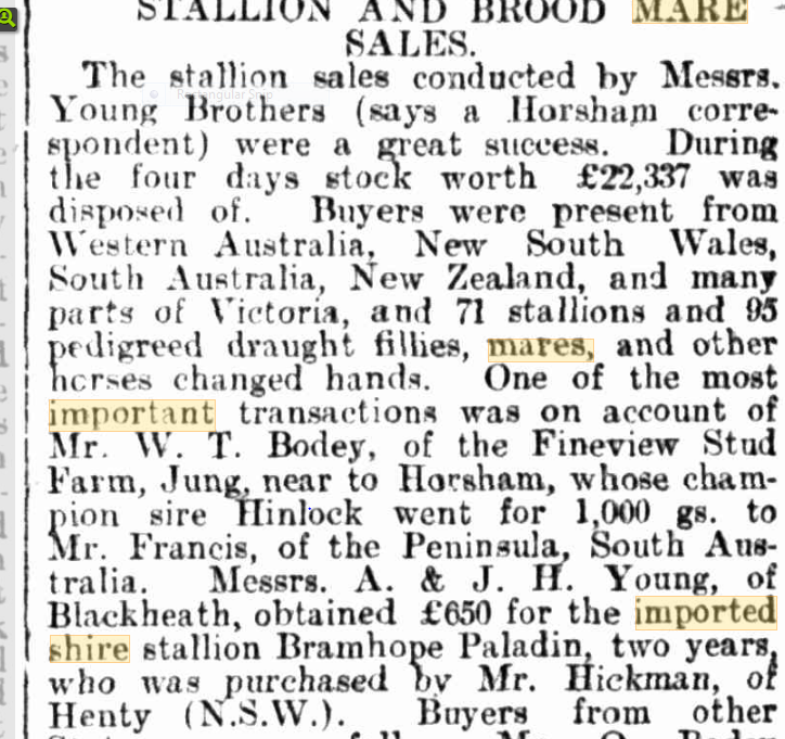Advertisement for shire horses in 1911