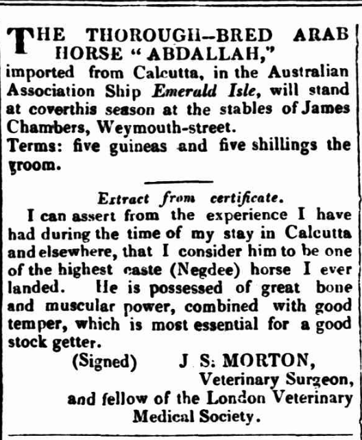 Stallion Advertisement from 1840