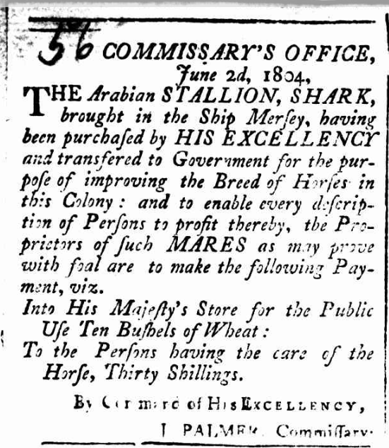 Stallion Advertisement from 1804