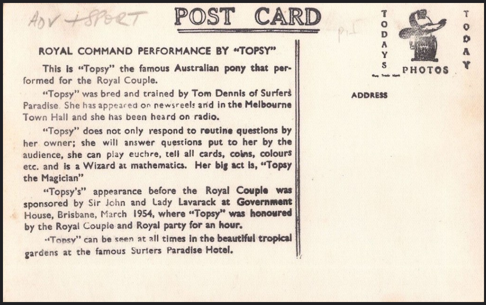 Topsy the performing pony, postcard from Surfers Paradise