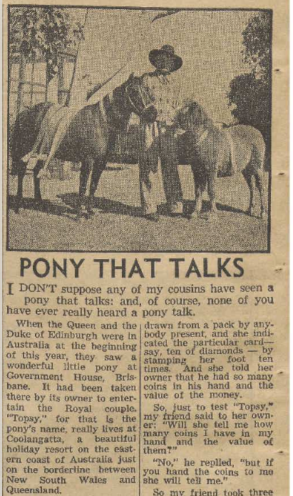 Topsy the performing pony that talks
