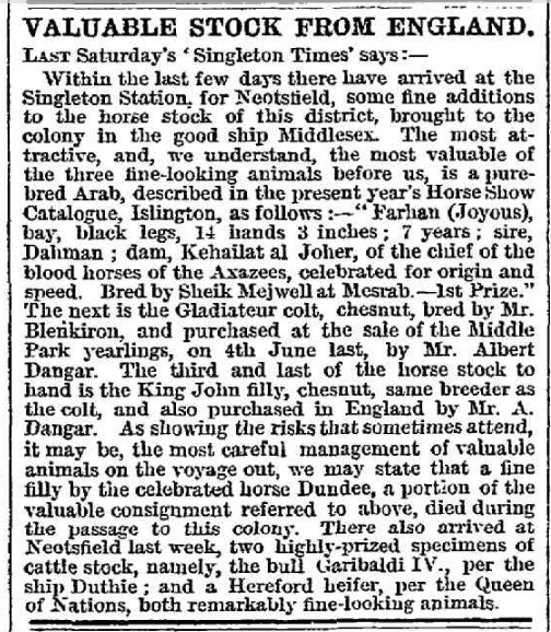Newspaper articles about valuable stock from England coming to Australia in 1869