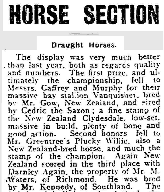 Newspaper article about Draught horses at a show in NSW in 1908