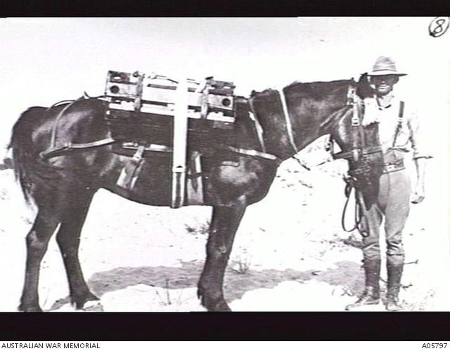 A horse saddled with a carrier for water trough standards used by 1st Field Squadron Engineers in supplying water to the troops