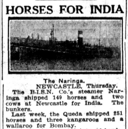 Article about horses being shipped to India 1936
