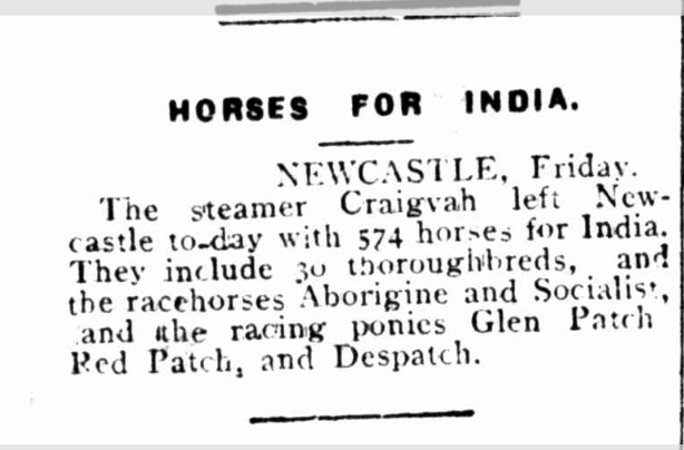 Article about horses being shipped to India 1910