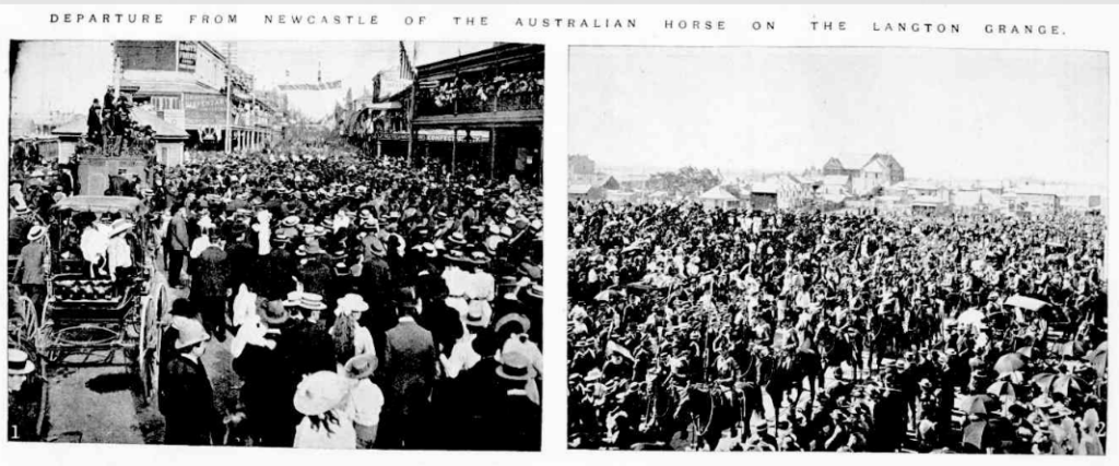 Loading horses at Newcastle on transport ship Langton Grange 1899