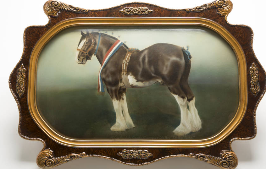 Framed painting of Clydesdale 'Liston Duke'