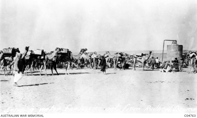 Loading fantasses on camels at the railhead, Serapeum, to be carried to the troops in the Line.
