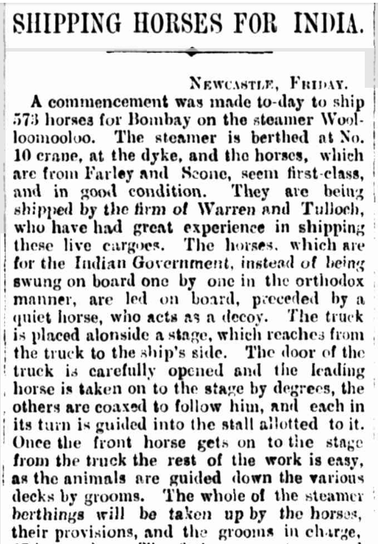 Shipping horses for India newspaper article in 1897
